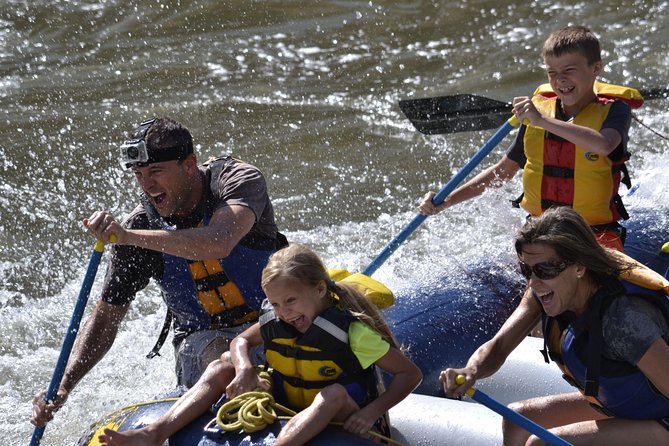 1/2 Day Afternoon Rafting Trip - Meeting in Riggins, not simply McCall