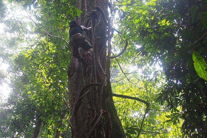 2-Day Jungle Trekking & Rafting in North Sumatra - What the $157.05 price covers