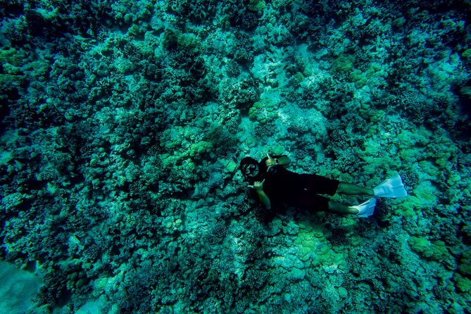 4 Hour Super-Raft Snorkeling Experience in Kailua-Kona - Food onboard: more than a token snack