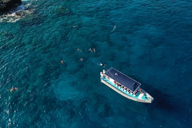 4 Hour Super-Raft Snorkeling Experience in Kailua-Kona - The crew makes the difference