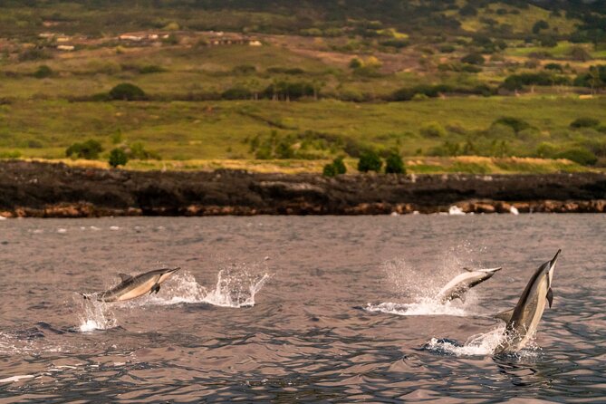 4 Hour Super-Raft Snorkeling Experience in Kailua-Kona - Starting at Kailua Pier at 8:30 a.m.