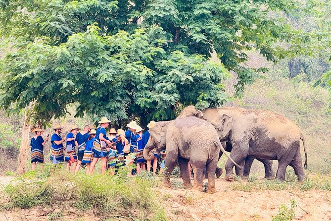 4 in 1 Elephants Long Neck Rafting and Sticky Waterfall Tour - Learning about Karen life and craft