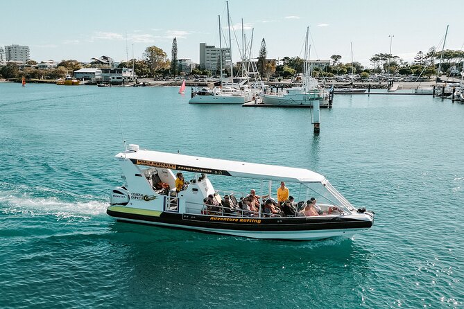 Adventure Rafting - Mooloolaba Turtle Tour - Setting off from The Wharf Mooloolaba