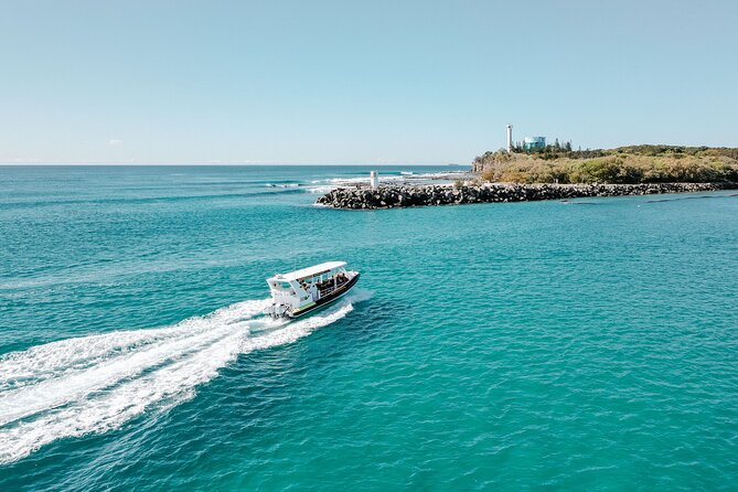 Adventure Rafting - Mooloolaba Turtle Tour - Is $71 good value for one hour?