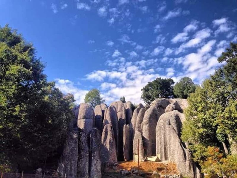 Antalya/Belek: Rafting With Quad Safari, Zipline Options - Lunch, Break Time, and the Pace of the Day