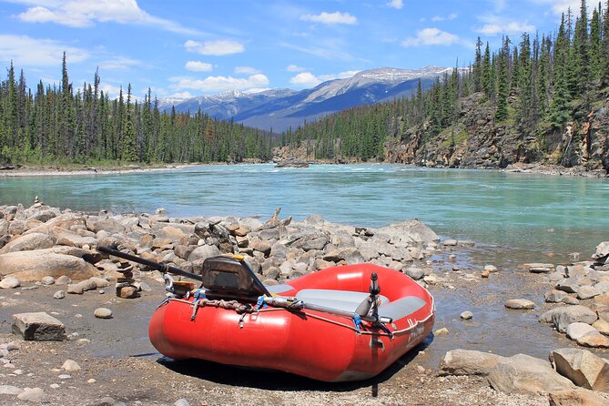 Athabasca Canyon Run Family Rafting: Class II Plus Rapids - Athabasca Falls sets the tone
