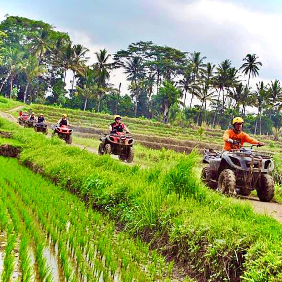Bali: ATV Quad Biking and Water Rafting Adventure Tour - Lunch with Indonesian dishes