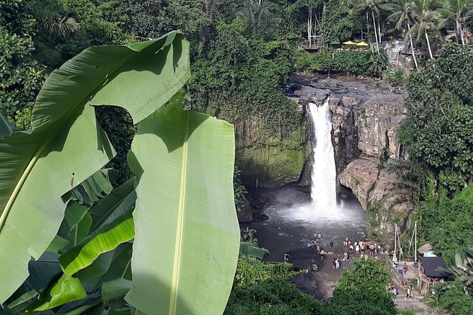 Bali ATV Rafting And Ubud Waterfall Private Tour - The plantation stop and included meals