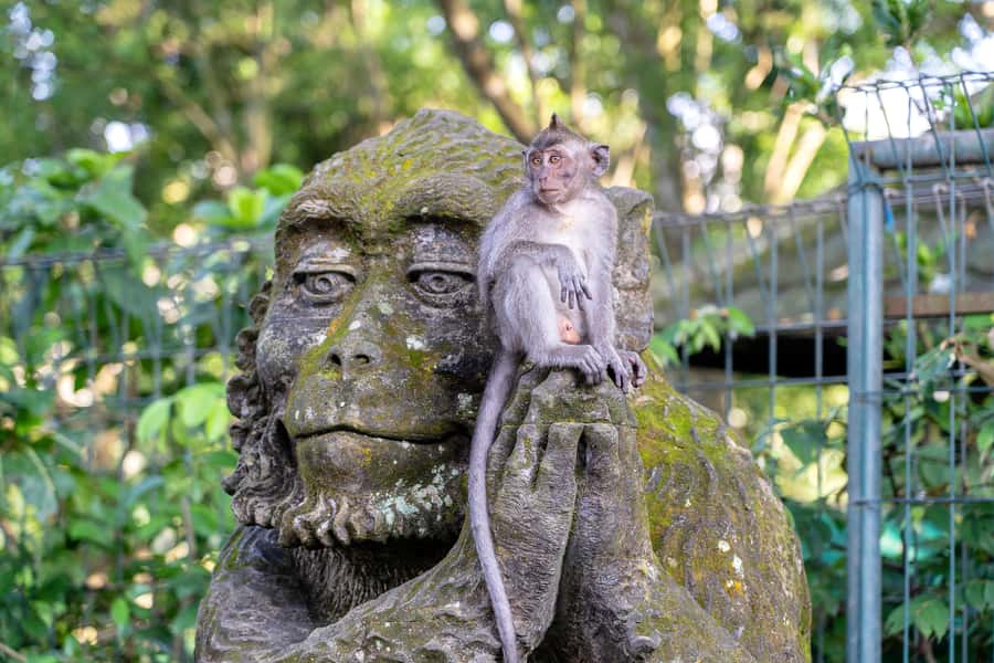 Bali: ATV, Water Rafting, and Monkey Forest Tour - The ATV route at Alasan Adventures