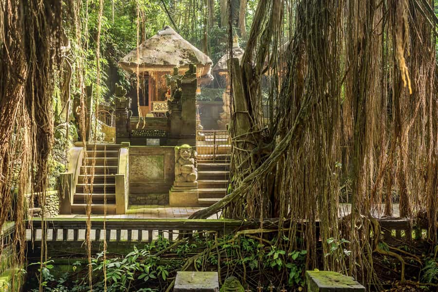 Bali: ATV, Water Rafting, and Monkey Forest Tour - Who should book this outing?