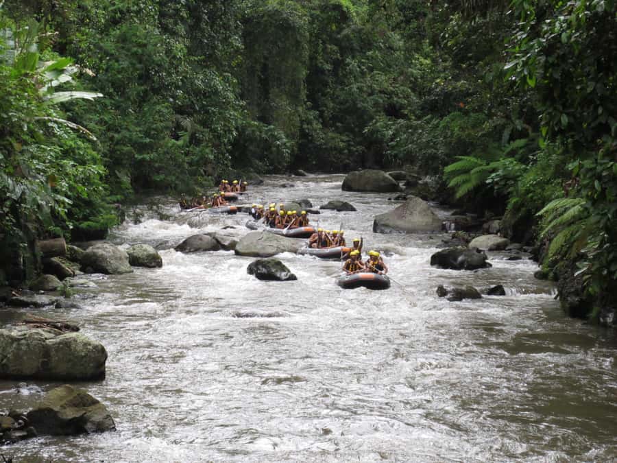 Bali: ATV, Water Rafting, and Monkey Forest Tour - Final call: good value for an active day