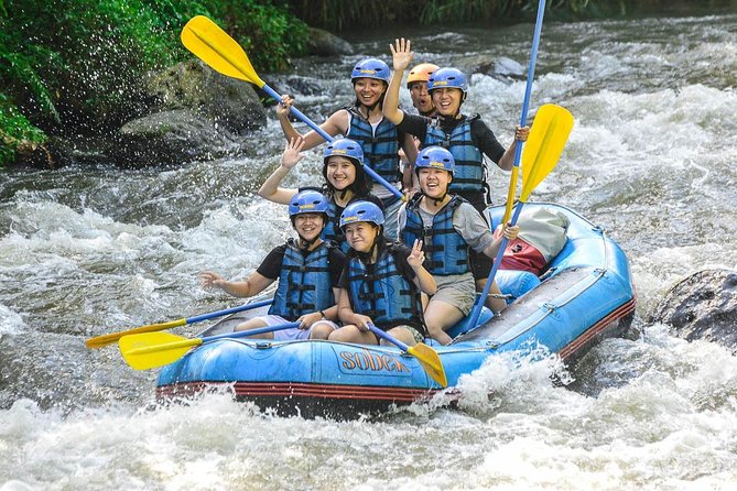 Bali: Ayung River White Water Rafting Adventure - Why the Ayung River makes a good Bali adventure