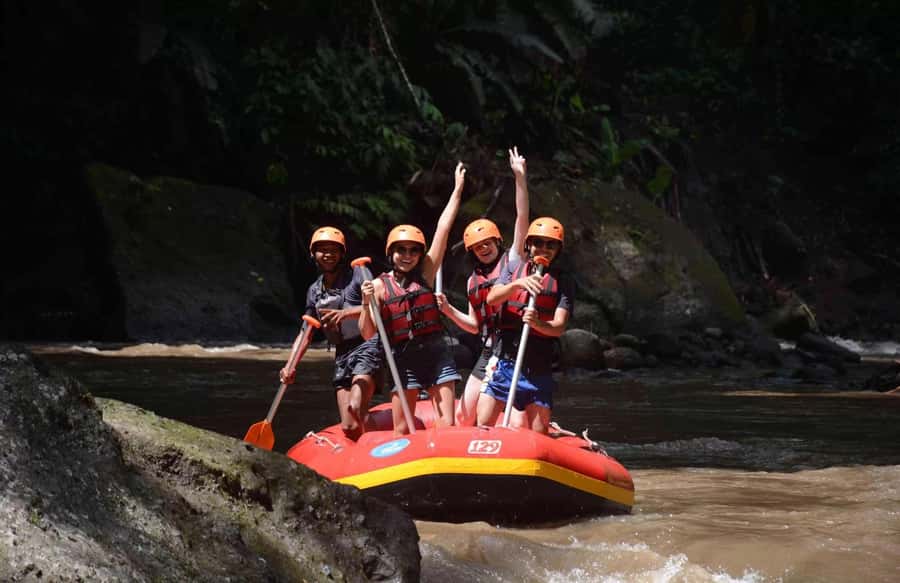 Bali: Ayung River White Water Rafting with Buffet Lunch - Jungle views, rice terraces, and the character of the river