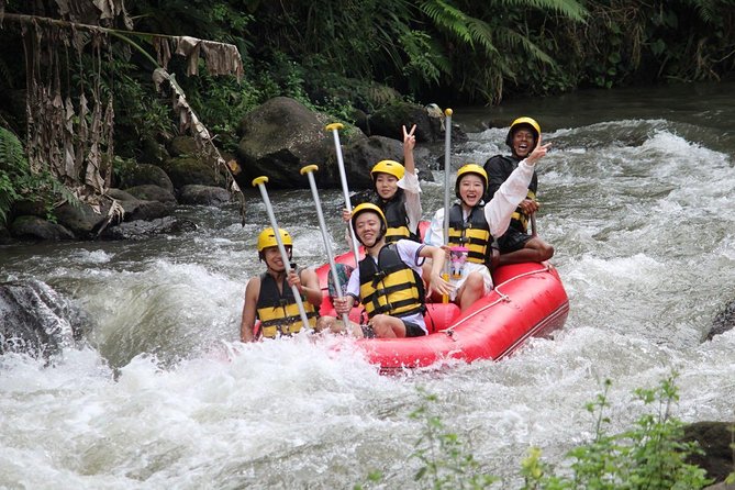 Bali Jungle Swing and White Water Rafting All Inclusive - The real value of the $65 price