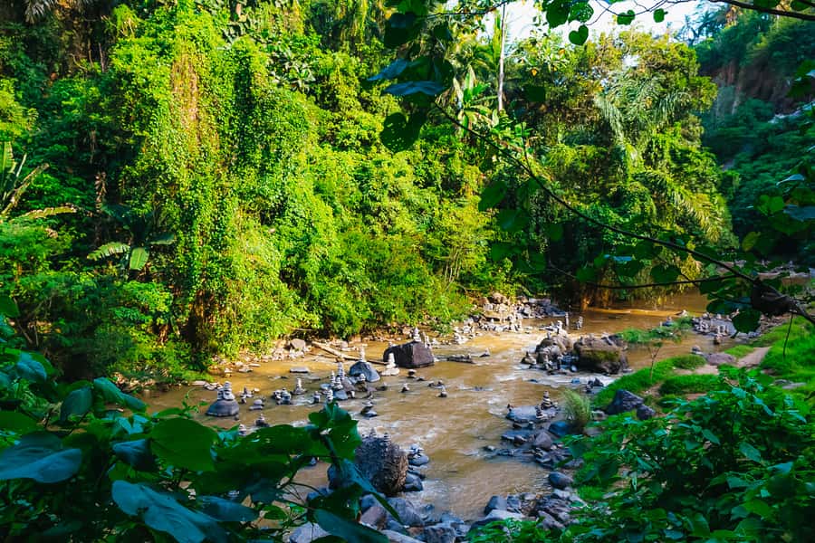 Bali: Mount Batur Sunrise Trek and White Water Rafting - Transport, guides, and the human side of the tour