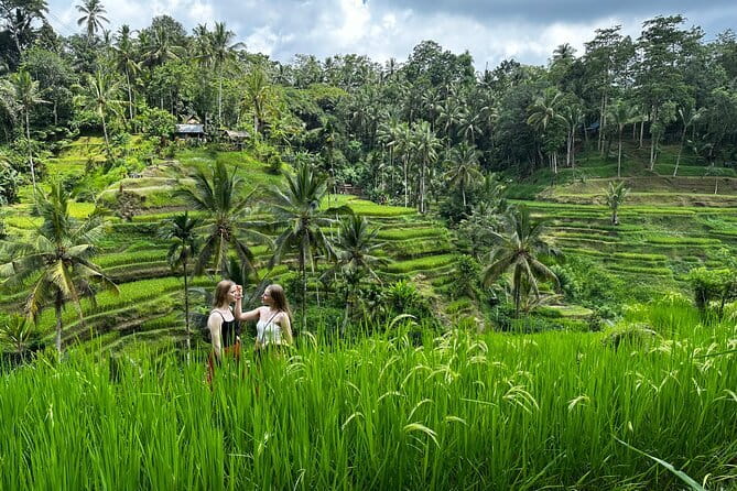 Bali Rafting : Bali Family Rafting in Ubud and Ubud Private Tour - A quick look at Ubud before the main stops