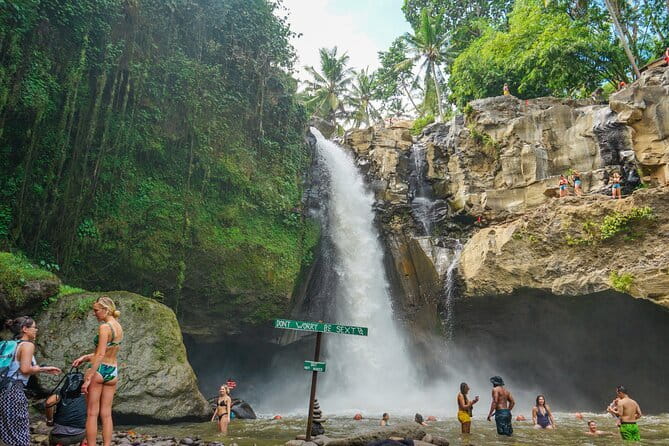 Bali Rafting : Bali Family Rafting in Ubud and Ubud Private Tour - Sacred Monkey Forest: close-up nature and temple scenery