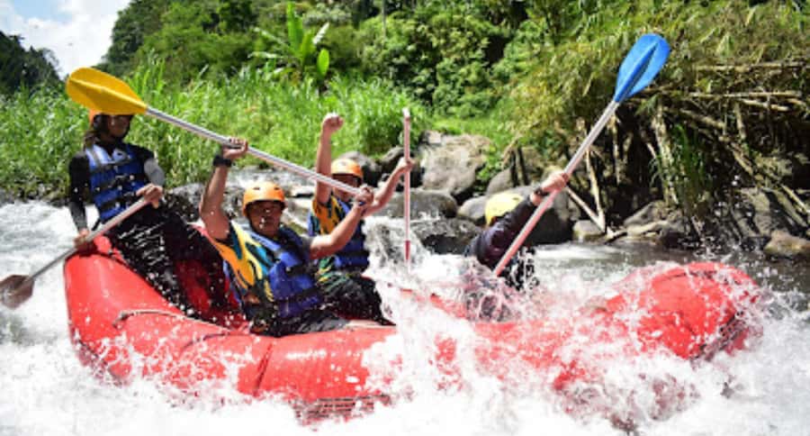 Bali Rafting: River Rafting with Zipline Down to the River - Who will enjoy this river adventure