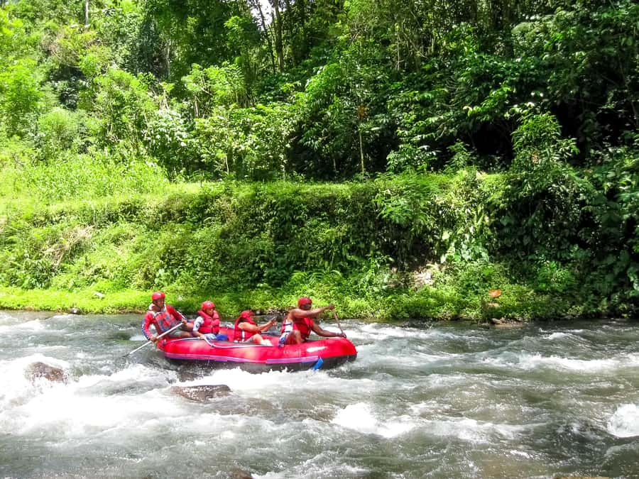 Bali: Telaga Waja White Water River Guided Rafting & Lunch - Is $20 good value for this Bali adventure?