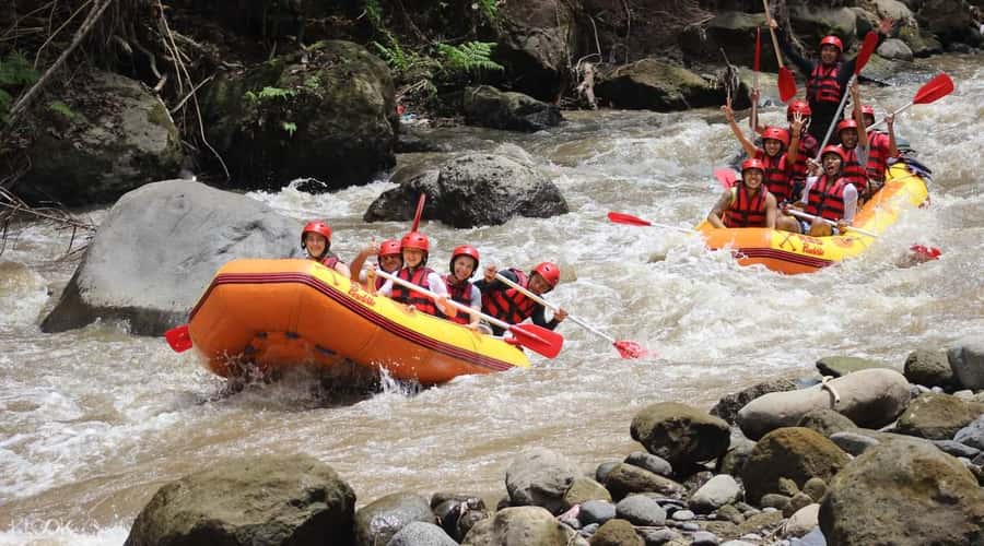 Bali: White Water Rafting, Lunch and Private Pickup - The 12-kilometer route and its grade II and III rapids