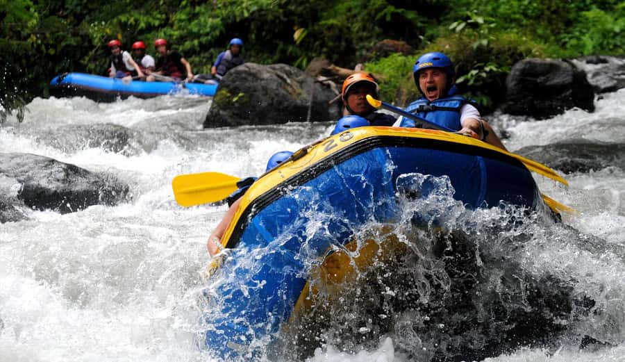 Bali: White Water Rafting, Lunch and Private Pickup - Waterfalls, swimming spots, and carved river walls
