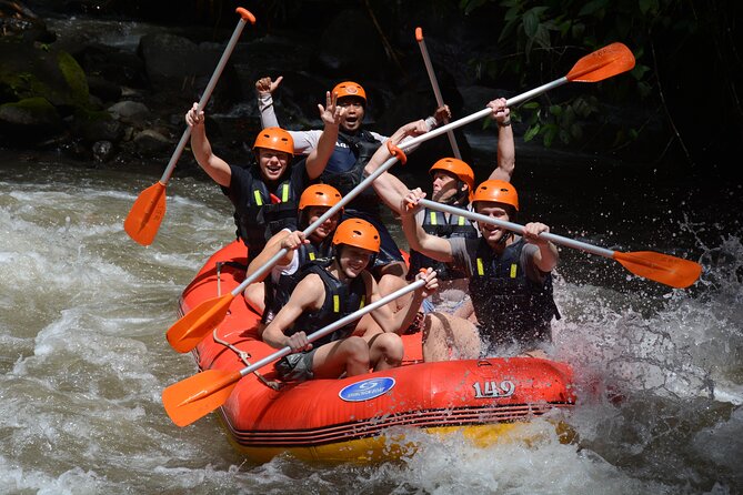 Bali White Water Rafting with No Steep Access - Two hours of rapids, waterfalls, and river scenery