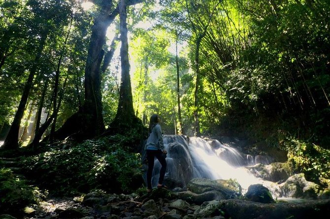 Bamboo Rafting and Jungle Tour From Phuket - The waterfall walk is short, scenic, and seasonal