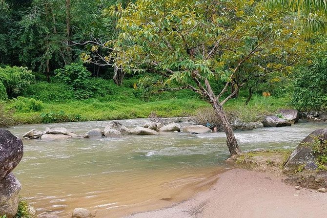Bamboo Rafting and Jungle Tour From Phuket - What the $52.13 price really covers