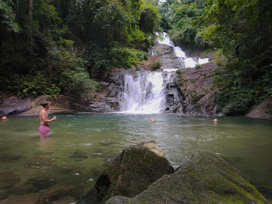 Bamboo Rafting, Waterfall, lunch, Elephant, and Turtle Tour - Key points at a glance