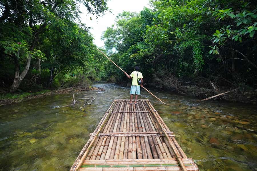 Bamboo Rafting, Waterfall, lunch, Elephant, and Turtle Tour - Sea turtles at the Tablamu Navy Base