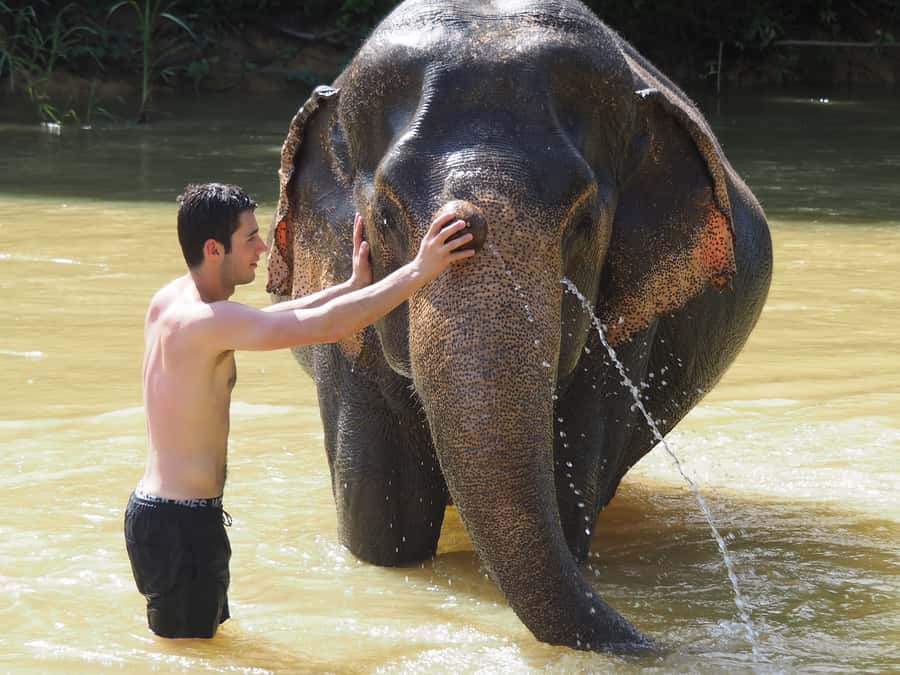 Bamboo Rafting, Waterfall, lunch, Elephant, and Turtle Tour - Thai lunch with drinks and local flavor