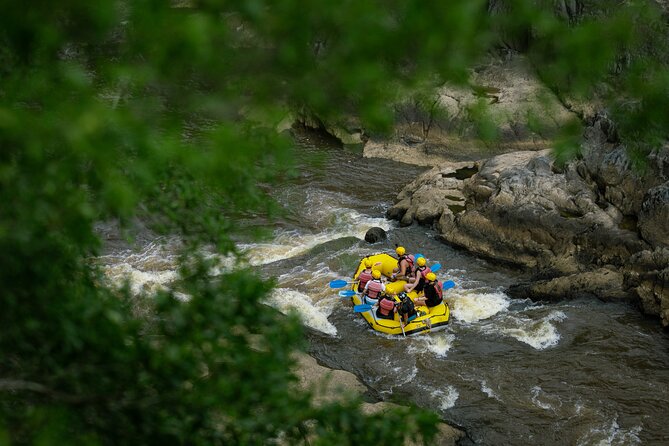 Barron River Half-Day White Water Rafting Cairns or Port Douglas - The Wet Tropics setting adds more than scenery