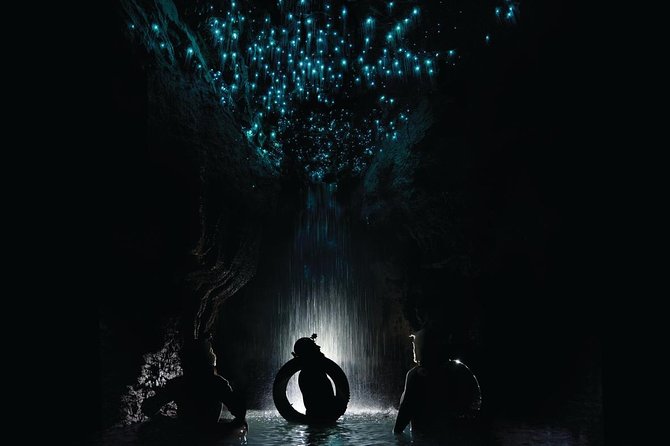 Black Water Rafting Experience Waitomo Caves Tour - Key points to know before you book