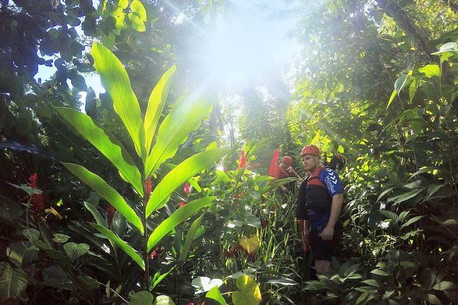 Body Rafting™ & Caving in a Natural Sanctuary - Entering the cave and canyon system
