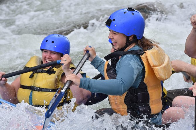 Browns Canyon Intermediate Rafting Trip Half Day - Scenery and wildlife between the splashes