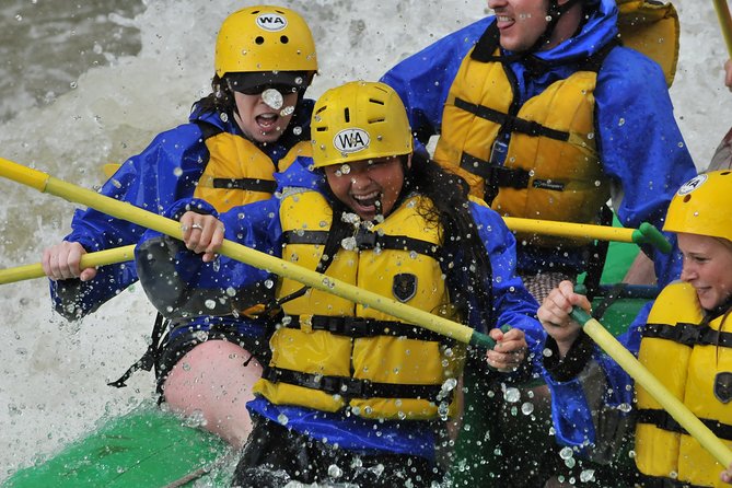 Browns Canyon National Monument Whitewater Rafting - Why Browns Canyon works so well for a half-day rafting trip