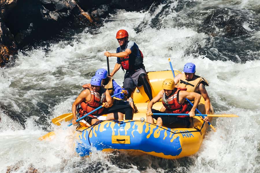 Buena Vista: Browns Canyon Half-Day Whitewater Rafting Trip - From AVA to the Arkansas River