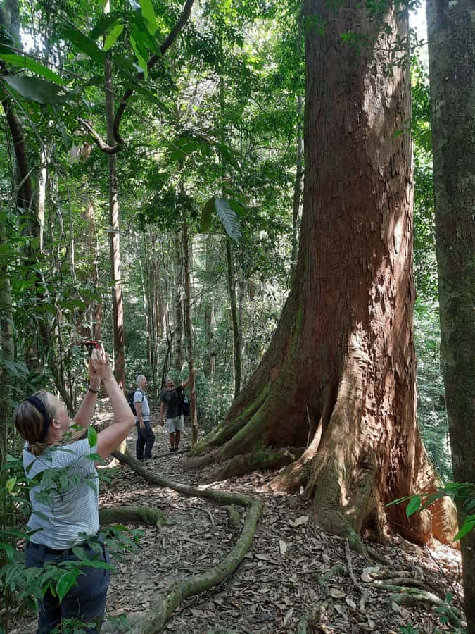 Bukit Lawang: Jungle Trekking and Rafting Day Trip - From Medan to Bukit Lawang: a long but worthwhile start