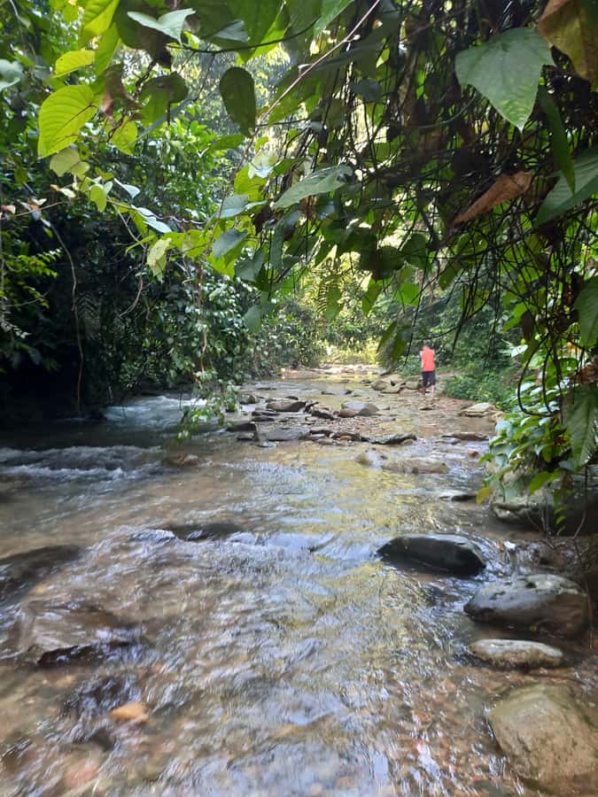 Bukit Lawang: Jungle Trekking and Rafting Day Trip - Timing, guides, and the feel of a private day