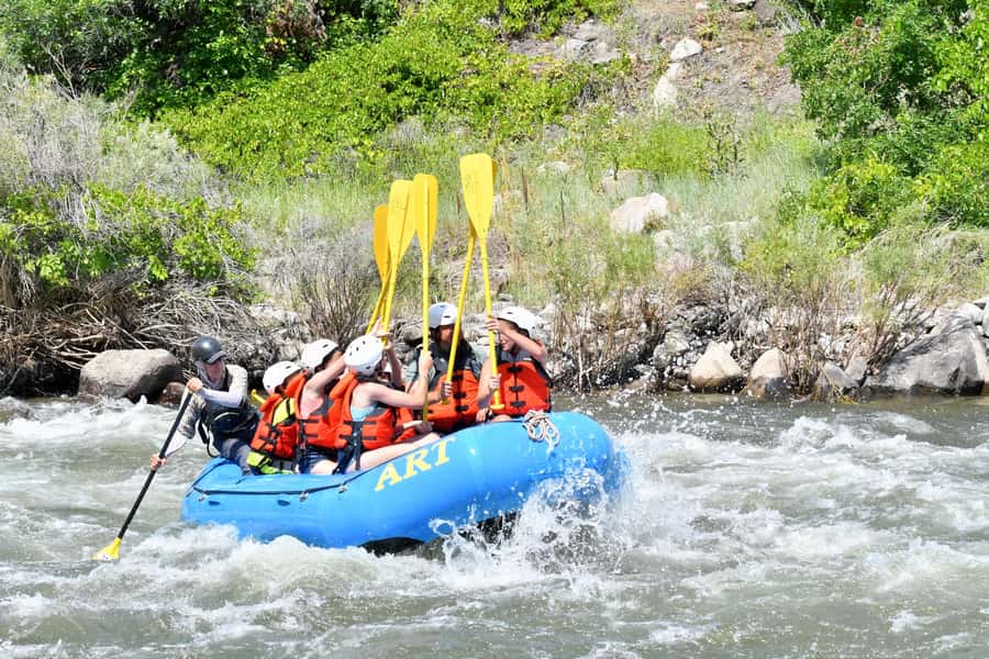 Cañon City: Family Friendly Colorado Rafting Tour - A 15-minute swim stop in the middle of the run