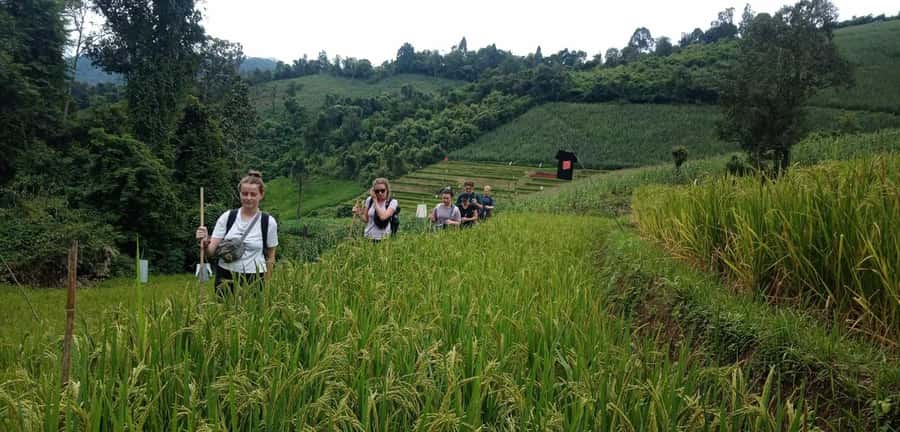 Chiang Mai: 2-Day Jungle Trek with Elephant Farm & Raft Ride - Key points to know before booking