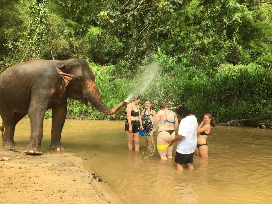 Chiang Mai: 2-Day Jungle Trek with Elephant Farm & Raft Ride - Bamboo rafting on the Mae Wang River
