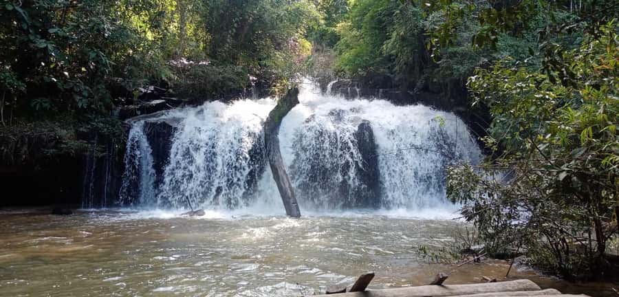 Chiang Mai: 2-Day Jungle Trek with Elephant Farm & Raft Ride - Walking through fields, forest, and waterfalls
