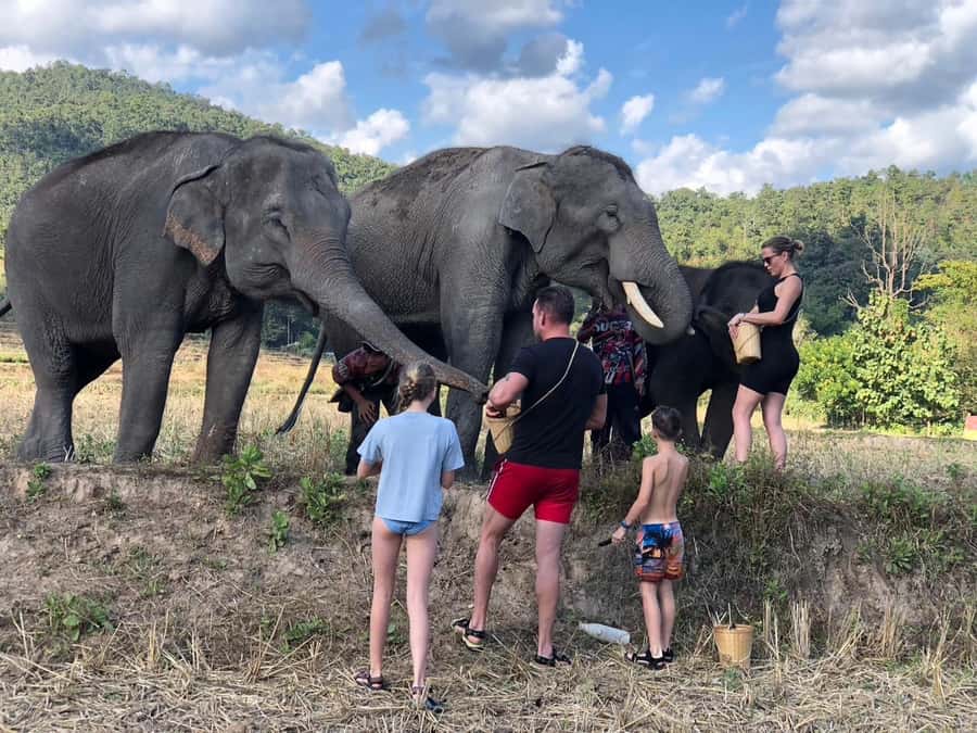 Chiang Mai: 2-Day Tour with Rafting, Elephants, and Waterfall - Key points to know before booking