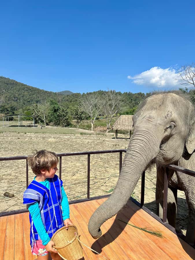 Chiang Mai: 2-Day Tour with Rafting, Elephants, and Waterfall - Thirty minutes on the Mae Wang River