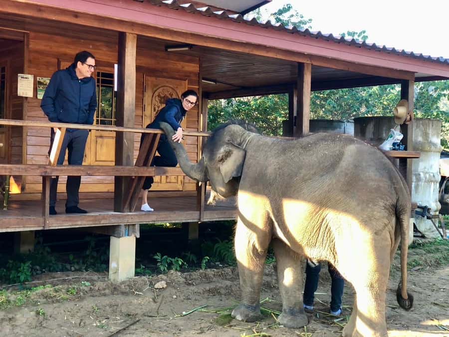 Chiang Mai: 2-Day Tour with Rafting, Elephants, and Waterfall - A morning near the waterfall