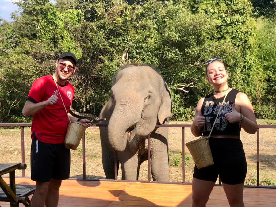 Chiang Mai: 2-Day Tour with Rafting, Elephants, and Waterfall - Feeding, mud, and bathing elephants