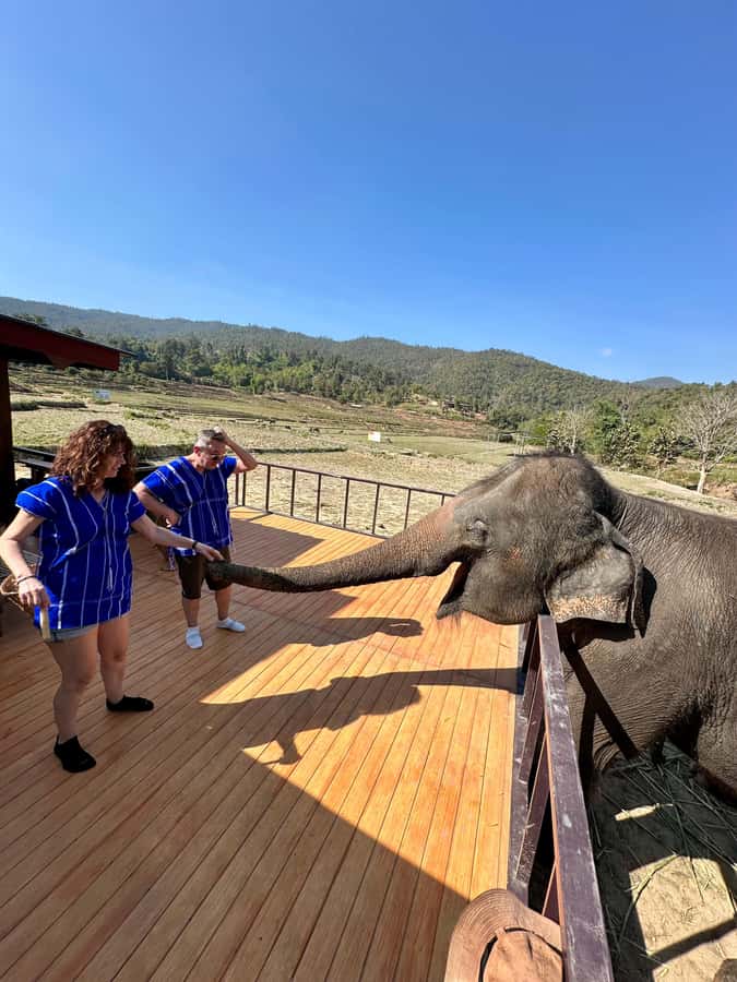 Chiang Mai: 2-Day Tour with Rafting, Elephants, and Waterfall - Meals, rooms, and what to pack
