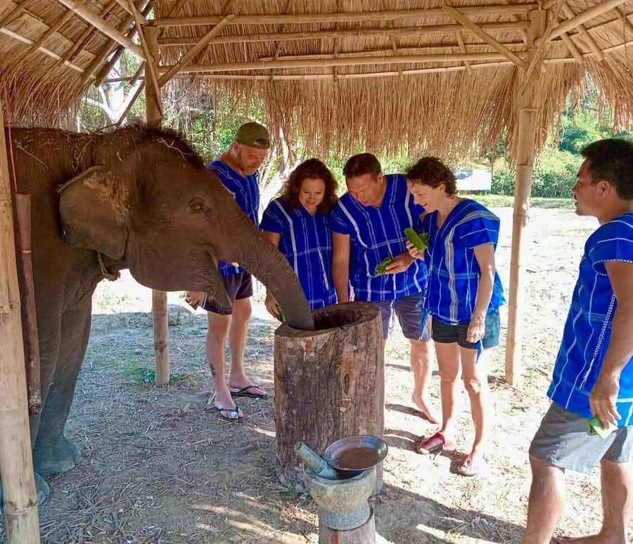 Chiang Mai: 2-Day Tour with Rafting, Elephants, and Waterfall - Who should choose this two-day adventure