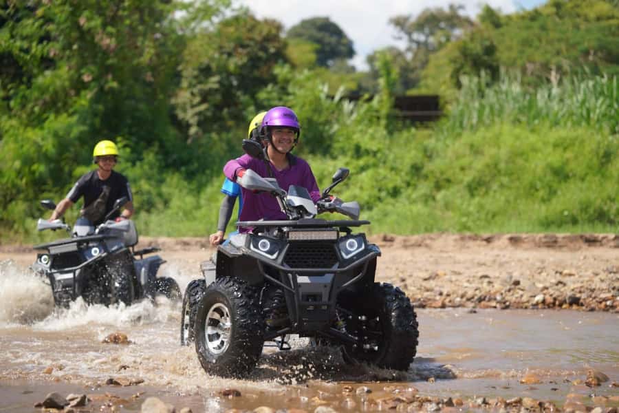Chiang Mai: ATV Adventure 2-Hrs,Feeding,Rafting & Lunch Trip - Elephant feeding in the Mae Wang area